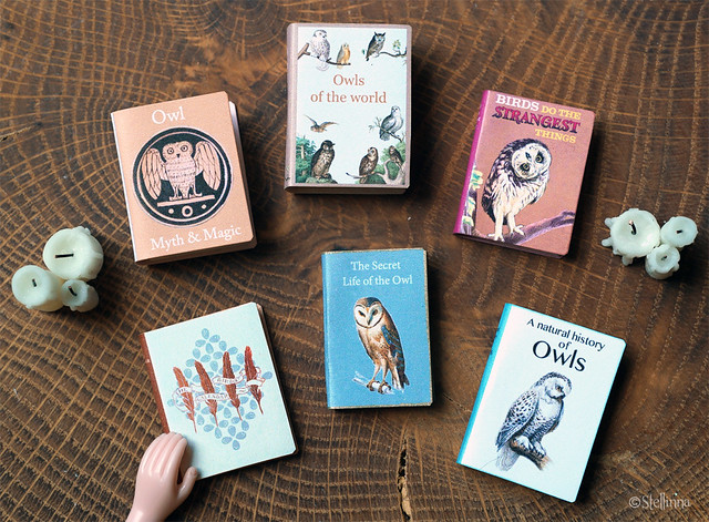 Owl books