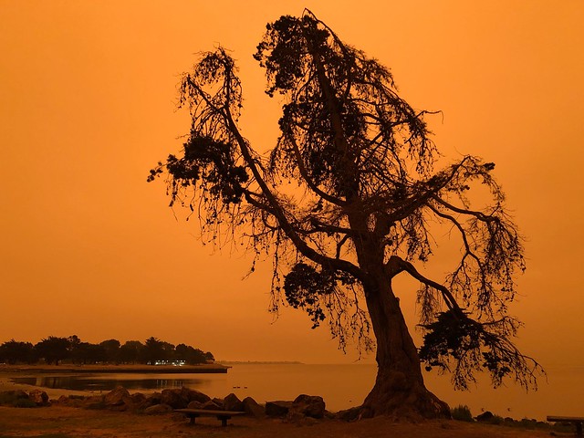 Red sky from wildfires - 10am, September 9, 2020, San Francisco Bay