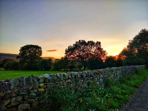 cobbydale snapseed motorola drystone wall evening sunset yorkshire trees