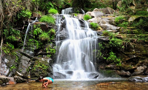 aveiro geo:lat=4075338036 geo:lon=839006885 geotagged portugal prt vilafria cascata waterfall cabreia water nature river wood outdoors leaf wet landscape summer purity moss tropical horizontal colorimage severdovouga centro europe southerneurope streamflowingwater rockobject extremeterrain harmony zenlike spirituality silence nonurbanscene day scenicsnature insta