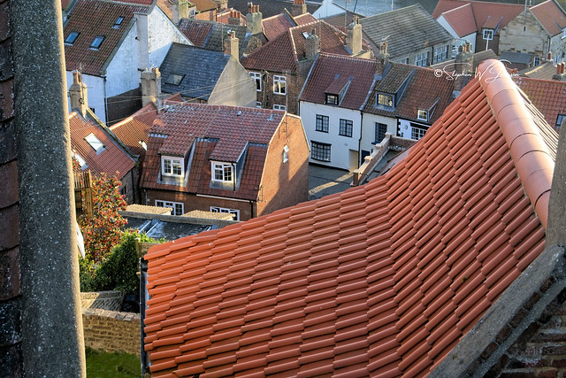 Z50_2459 - Red pantiles of Whitby town