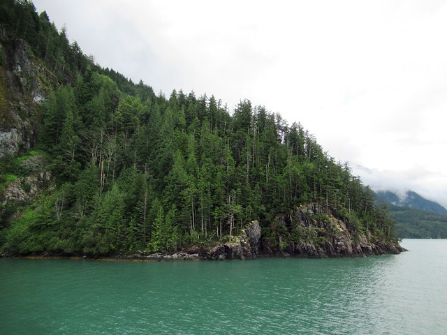 Bute Inlet Forest