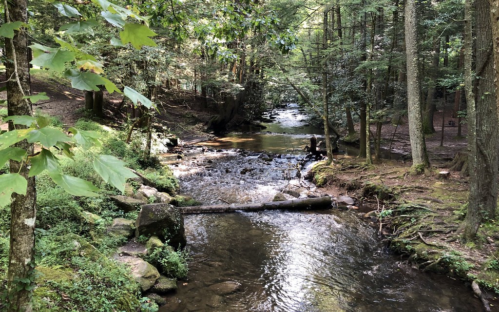 Lake Trail