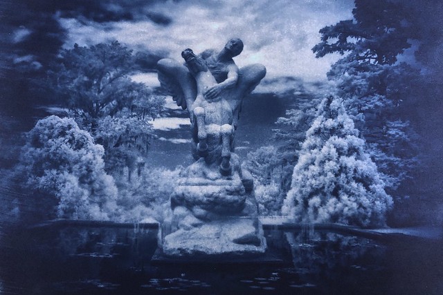 Cyanotype from infrared photo of Pegasus sculpture in Brookgreen Gardens (Murrells Inlet, SC) - Jimmy Price, sculptor
