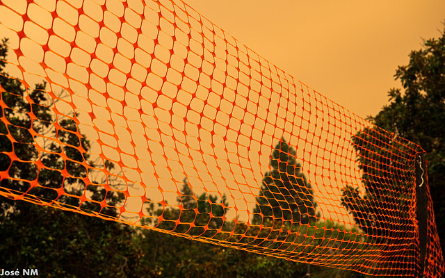 The Orange Net & Sky
