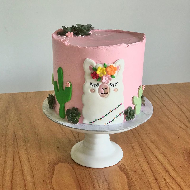 Llama & Cactus by Nancys Cakes