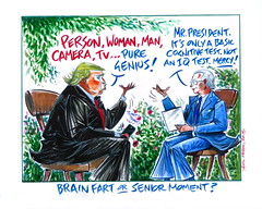 Brain Fart or Senior Moment?