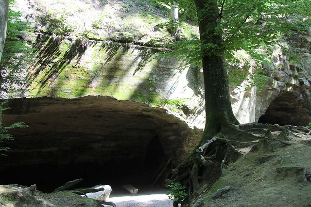 Sandsteinhöhlen Gränichen - Liebegg ( Höhlen cave Sandstein ) bei Gränichen - Liebegg im Kanton Aargau der Schweiz