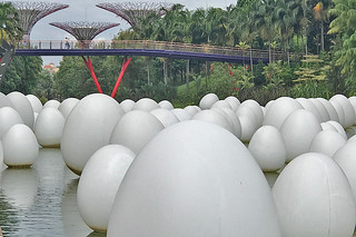 Layover in SG -  Gardens By The Bay Future Together Silver Garden