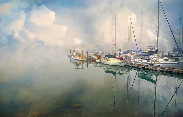 Morning In Harbour