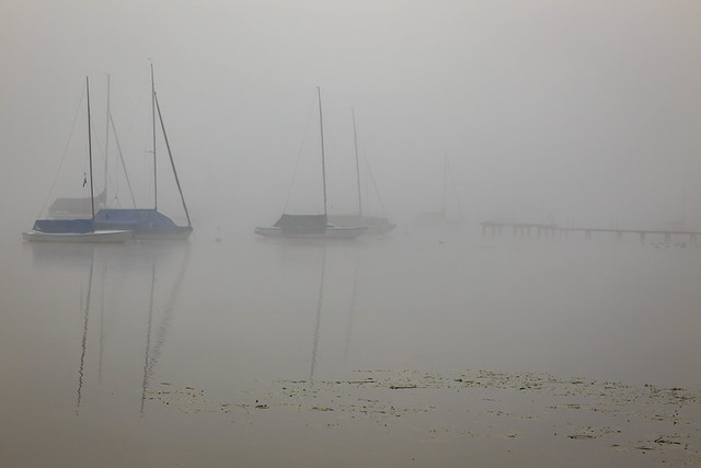 A foggy morning on the Ammersee lake .