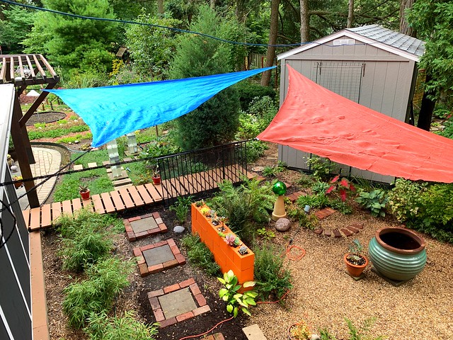 Lost a giant shade tree a couple years ago and planted new trees, but it will take a few years. Thinking outside the box I put up a couple sun shade sails. These are fun and will do what I need for awhile.