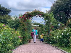 Photo 4 of 14 in the Family visit to Arley Hall & Gardens (2nd Aug 2020) gallery