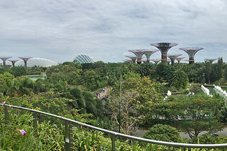 Layover in SG -  Gardens By The Bay