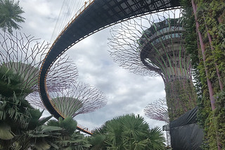 Layover in SG -  Gardens By The Bay OCBC Skyway