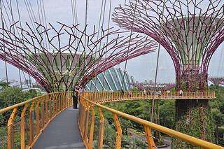 Layover in SG -  Gardens By The Bay OCBC Skyway mid point