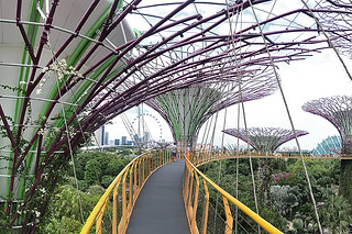 Layover in SG -  Gardens By The Bay OCBC Skyway end point