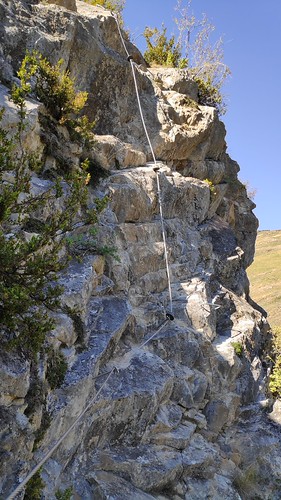 IMG_20200914_165735_1