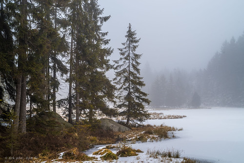 snow schnee fichtelsee lakefichtelsee fichtelgebirge oberfranken bayern deutschland germany bavaria upperfranconia mist fog nebel spruces fichten eis ice