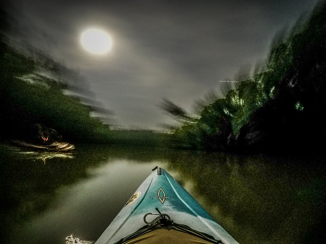 Moonlight Paddle on the Saluda River-21