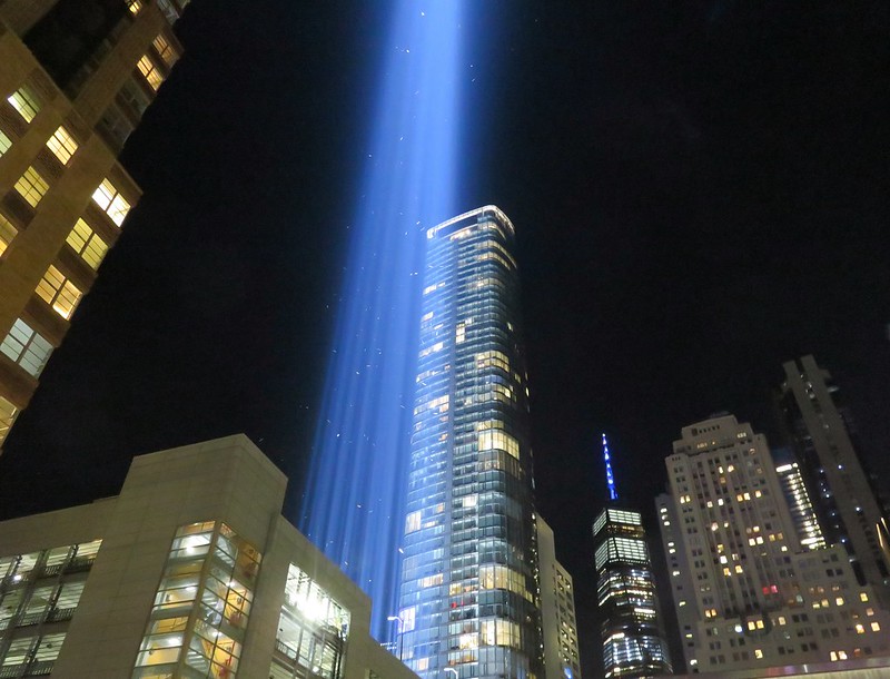 Birds trapped in the 9/11 memorial lights