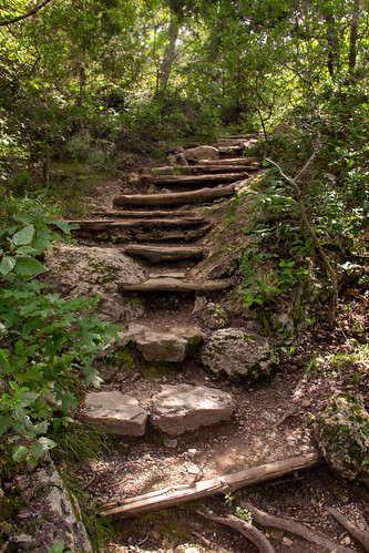 hamiltonpool preserve traviscounty waterfall austintexas austin national landscape outdoors swimming water texas hiking nature trail natural stairs path