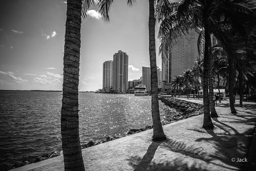 Miami mood - au bord de l'eau #2