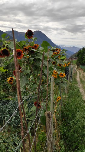 IMG_20200915_142321