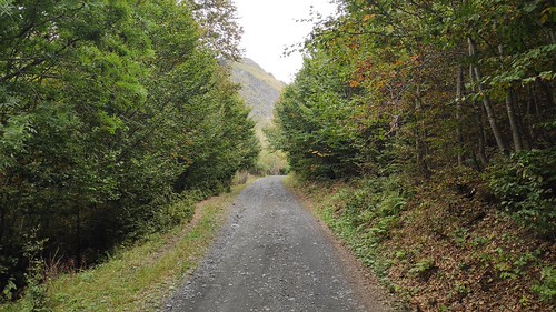IMG_20200915_115259