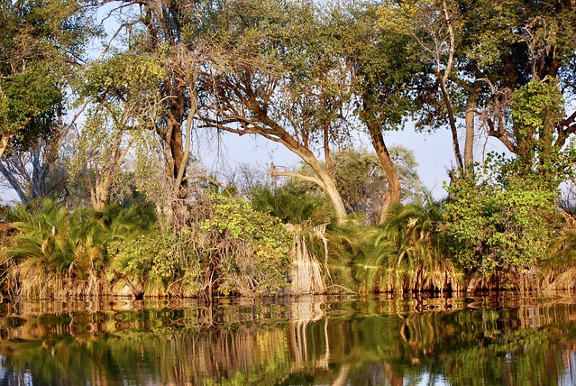 BOTSWANA - Okavango Delta