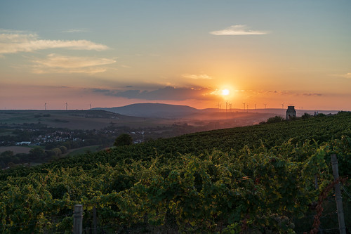 donnersberg sunset sonnenuntergang sonne fe fullframe 2470 variotessar sel2470z a7riii landscape landschaft vineyards weinbau rheinlandpfalz sony zeiss