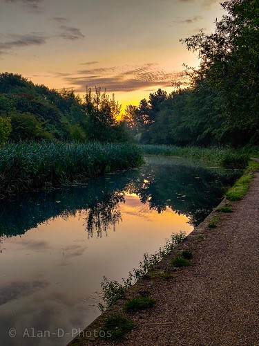 wolverhampton level birmingham canal water sunrise towpath gravel trees grass weeds clouds golden glow sky blue phoneography