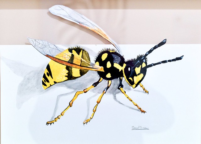 The Wasp - Samuel Simões