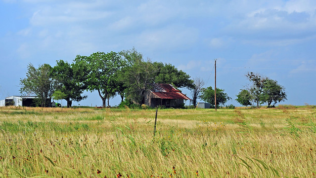 Abandoned Homestead - Gonzales County, Texas
