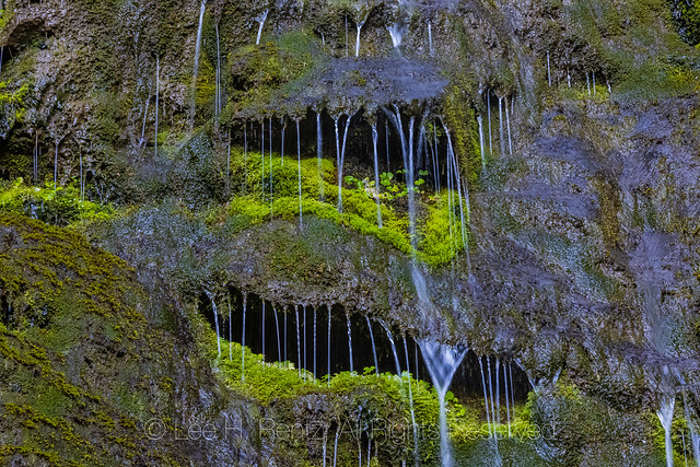 Waterfall Patterns along the Heliotrope Ridge Trail