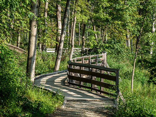 landscape clevelandmetropark rockyriverreservation bridge