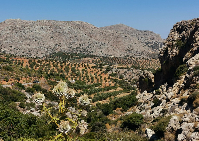 Landscape near Zakros