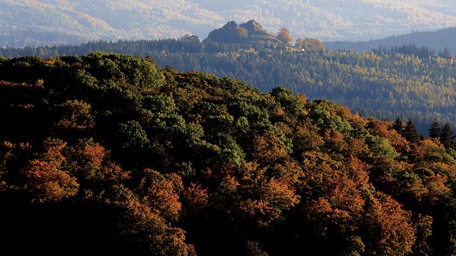 Blick auf den Wachtküppel (Spitzbub der Rhön) im Herbst