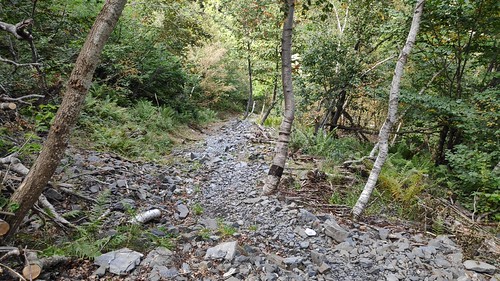 IMG_20200916_144407