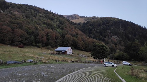 IMG_20200916_073521
