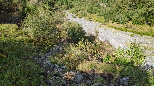 IMG_20200916_143308