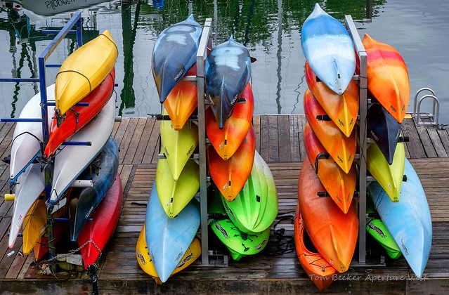 Colorful kayaks stored by harbour
