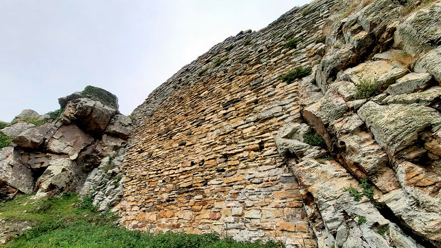 Deganwy Castle (23)