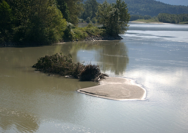 A SERENE BACK WATER OF THE FRASER RIVER,    NEAR CHILLIWACK,  BC.