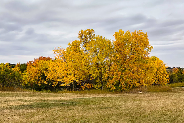 fall colors