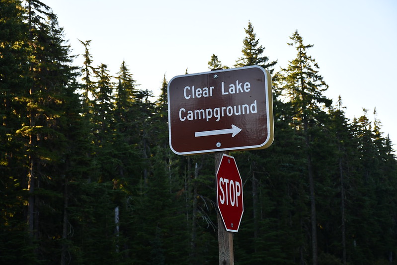 Clear Lake Campground ~ Mt Hood National Forest