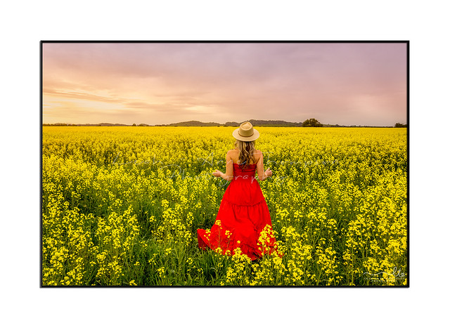 Farm girl in long red dress and hat stands in canola field