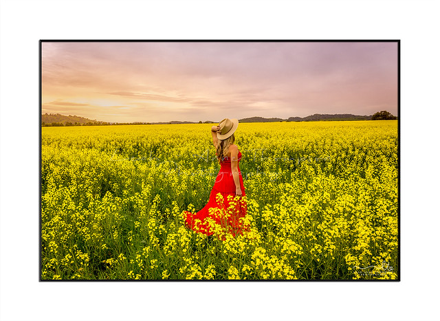 Country woman standing in a field of canola