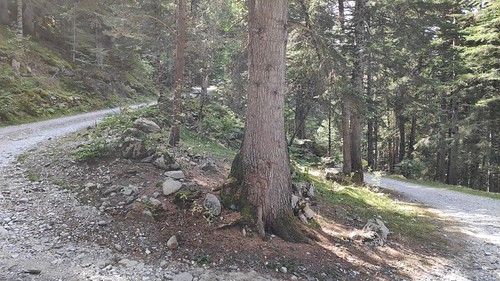 IMG_20200917_134047_1
