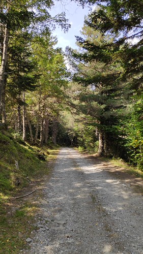 IMG_20200917_133555_1